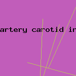 artery carotid inflammation