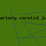 artery carotid jugular vein