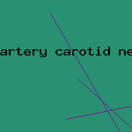 artery carotid neck surgery vascular