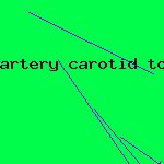 artery carotid tortuous