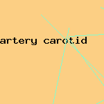 artery carotid