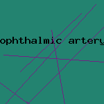 ophthalmic artery carotid artery